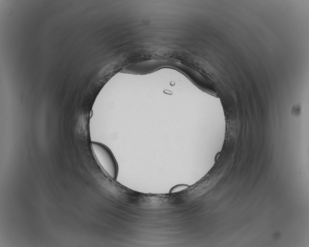 X0000096650286200803041156