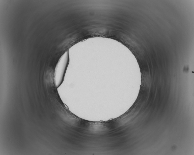 X0000096650287200803041156