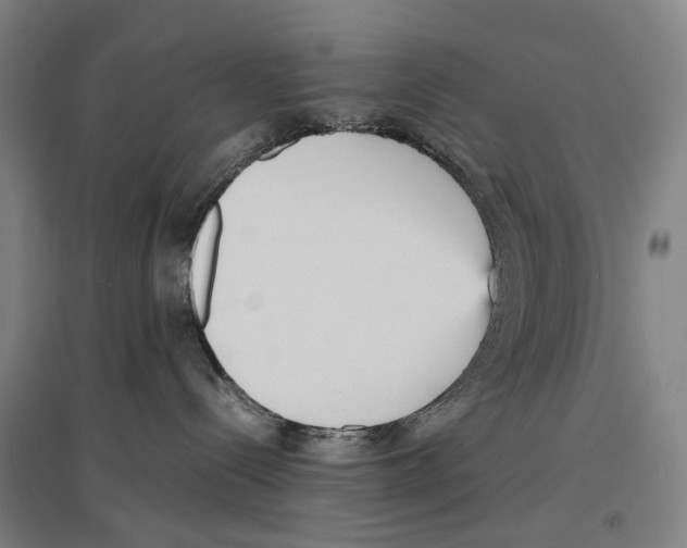 X0000096650288200803041156