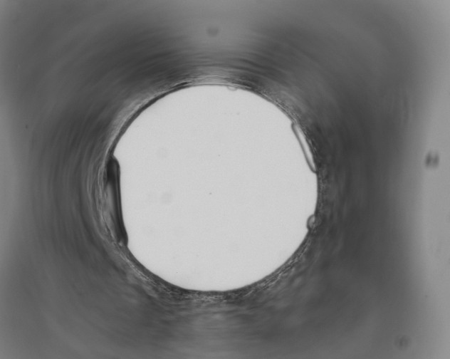 X0000096650289200803041155