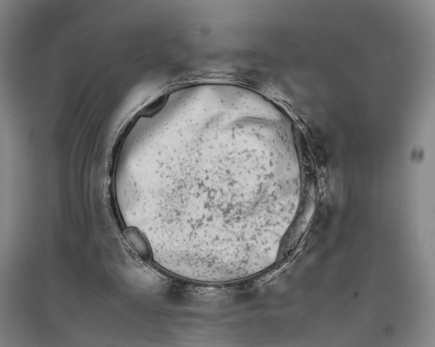 X0000096650293200803041155