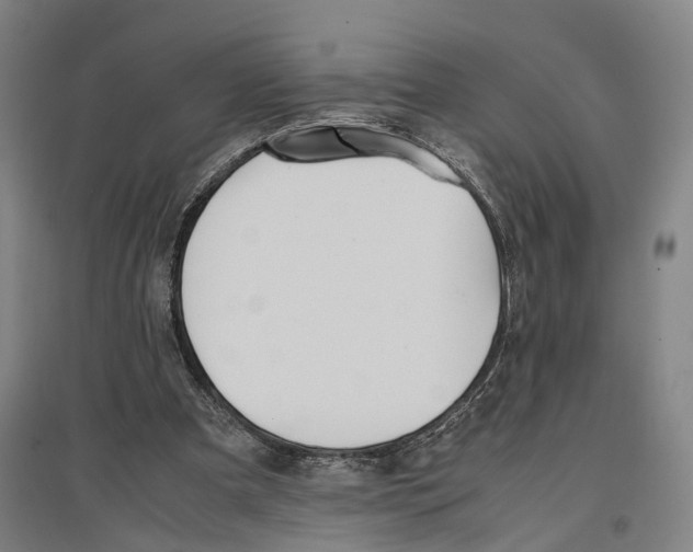 X0000096650297200803041155