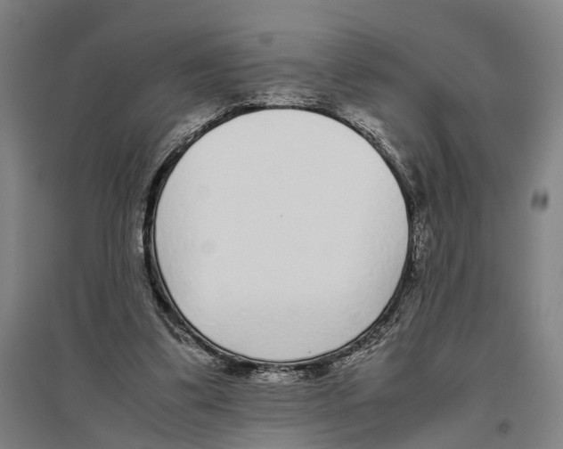 X0000096650299200803041155