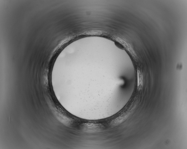 X0000096650300200803041155