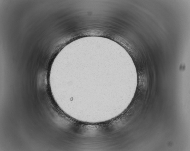 X0000096650302200803041155