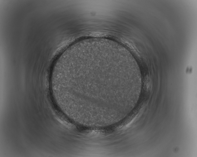 X0000096650303200803041155