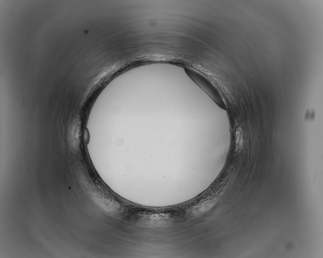 X0000096650304200803041155