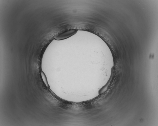 X0000096650305200803041155