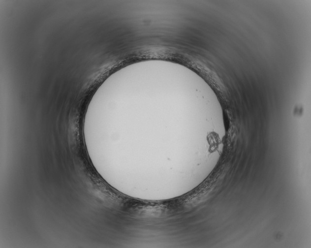 X0000096650306200803041155