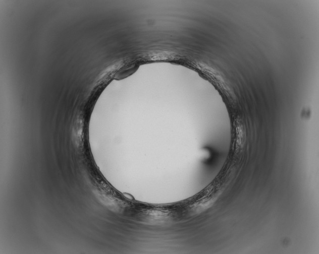 X0000096650308200803041155