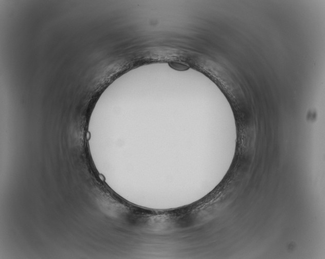 X0000096650309200803041155