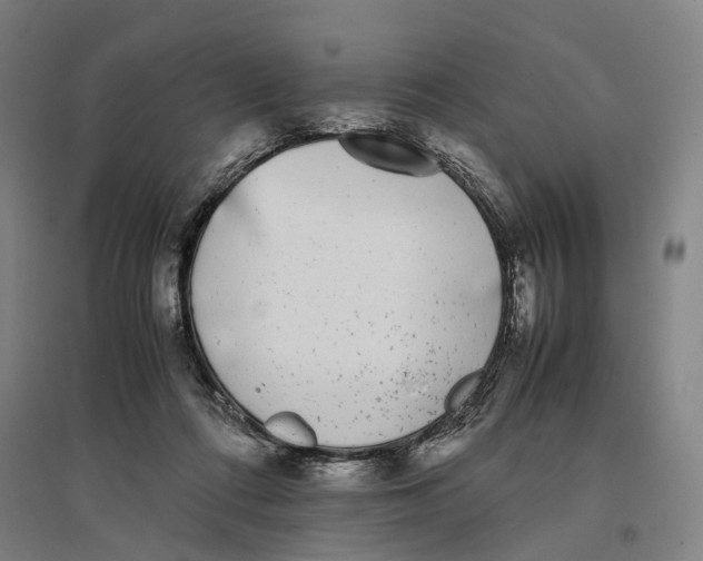 X0000096650312200803041155