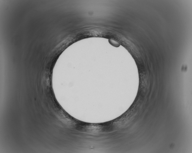 X0000096650313200803041155