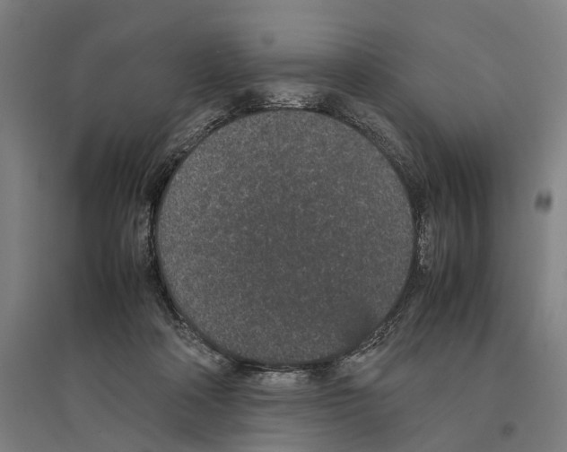 X0000096650314200803041155