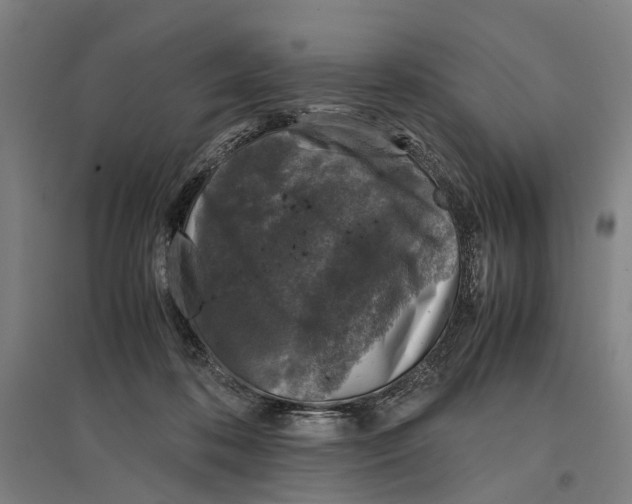 X0000096650316200803041155