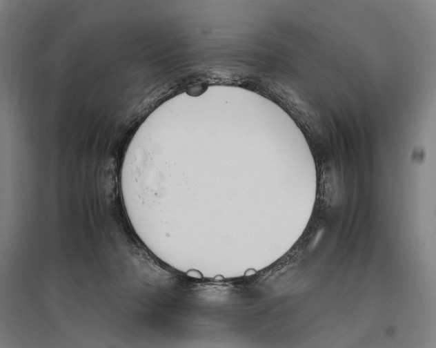 X0000096650318200803041155