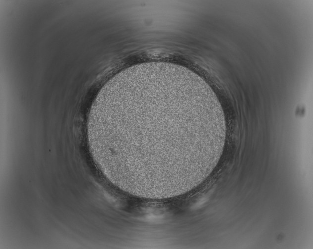 X0000096650319200803041155