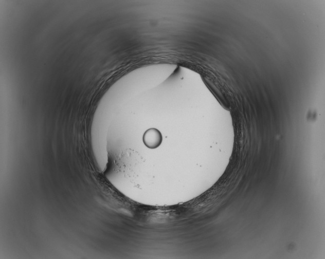 X0000096650320200803041155