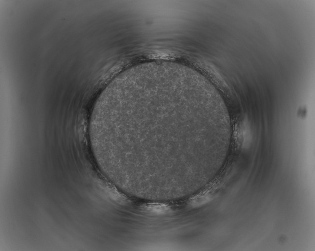 X0000096650322200803041155