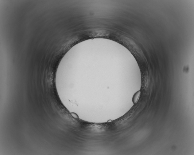 X0000096650326200803041155