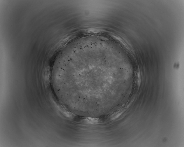 X0000096650328200803041155