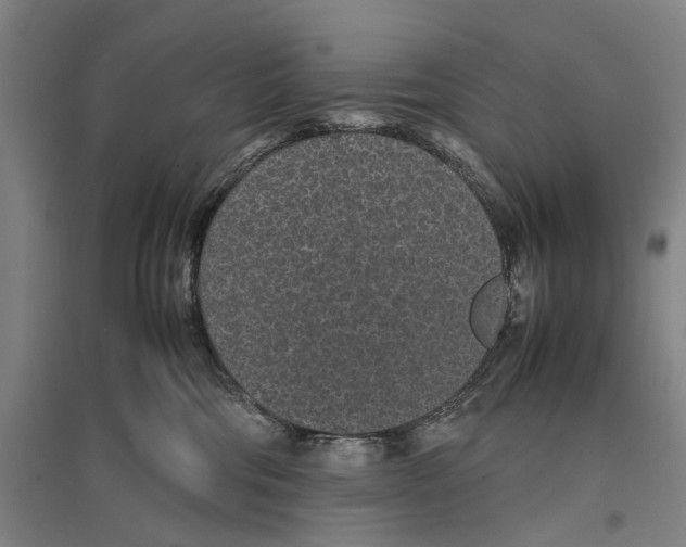 X0000096650330200803041155