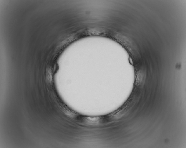 X0000096650335200803041155