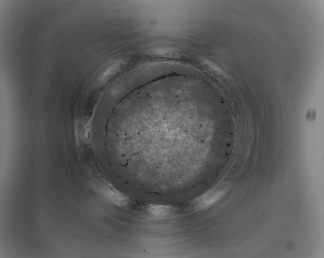 X0000096650336200803041155