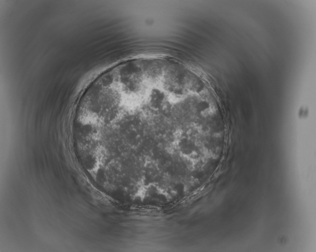 X0000096650337200803041154