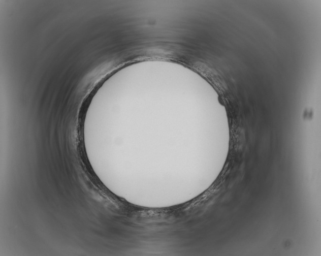 X0000096650338200803041154