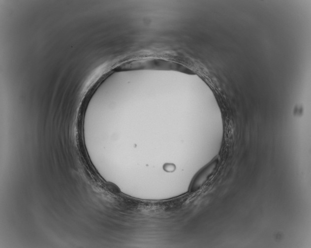 X0000096650340200803041154