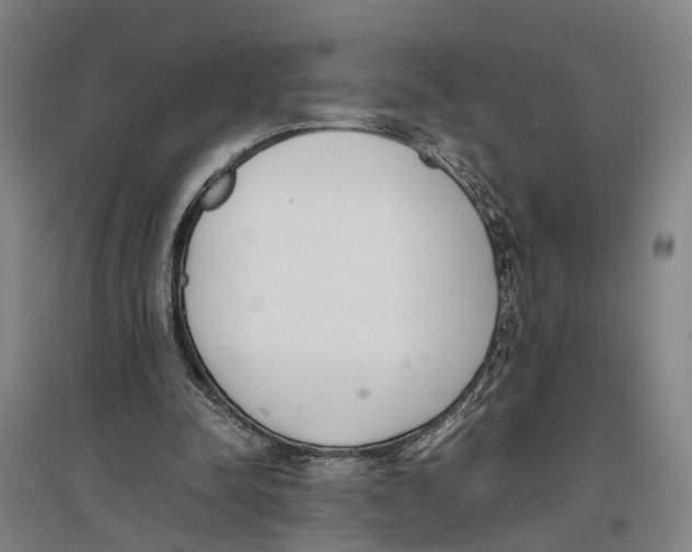 X0000096650342200803041154