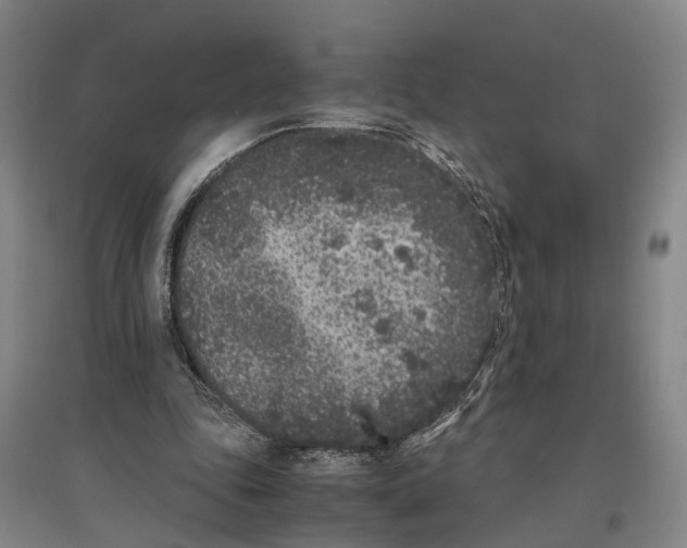 X0000096650343200803041154