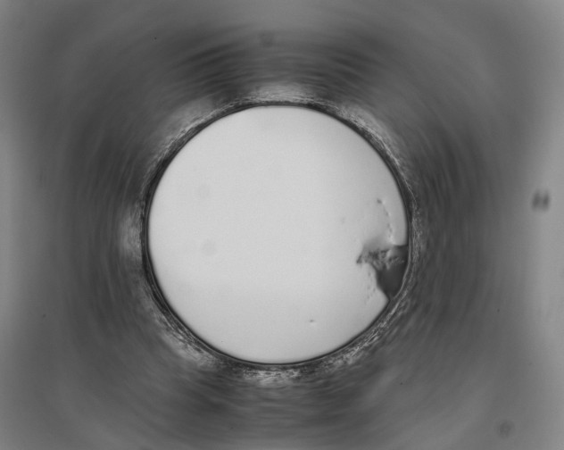 X0000096650345200803041154