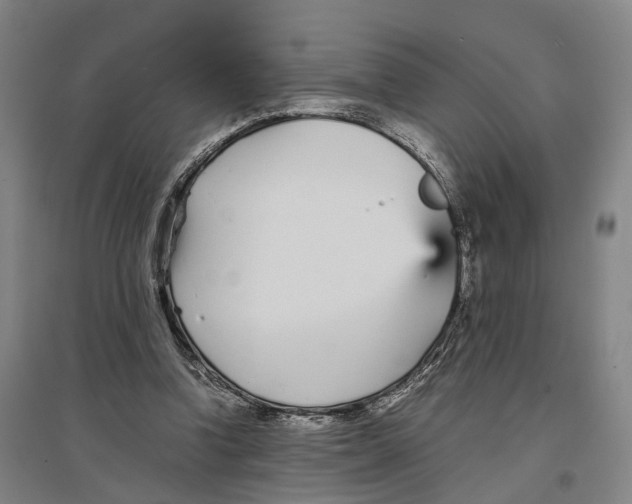 X0000096650346200803041154