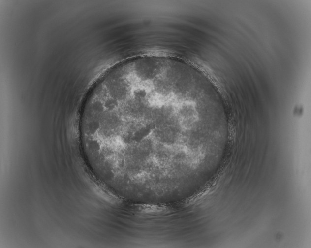 X0000096650347200803041154