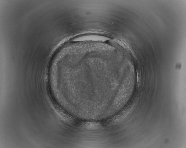 X0000096650348200803041154