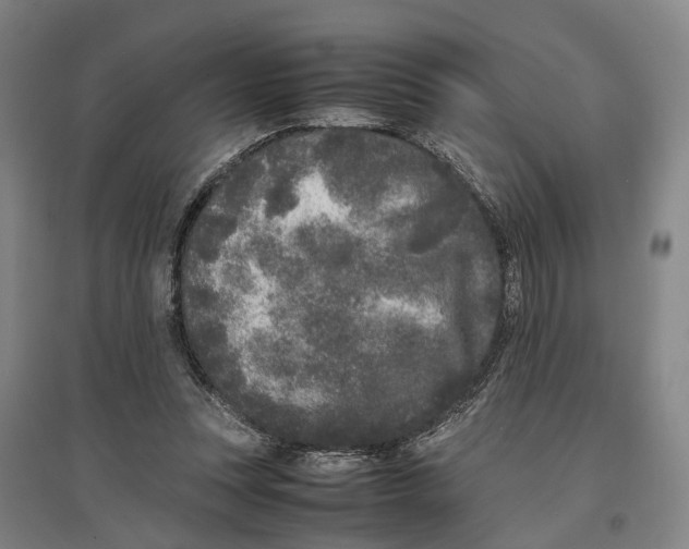 X0000096650351200803041154