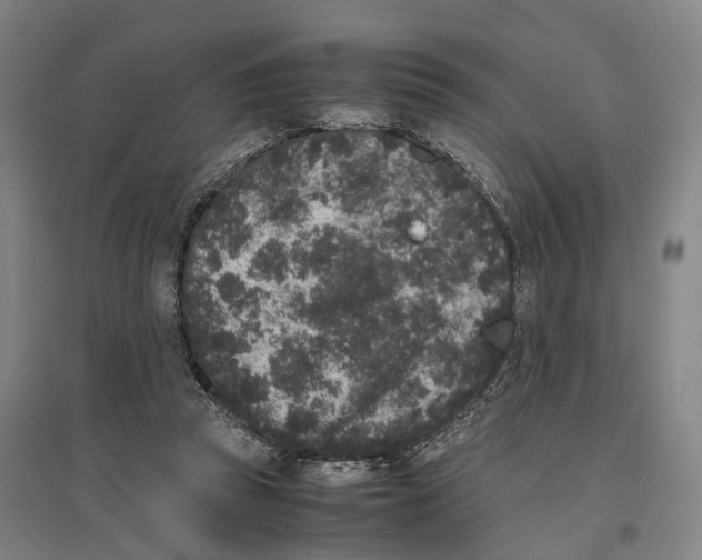 X0000096650353200803041154