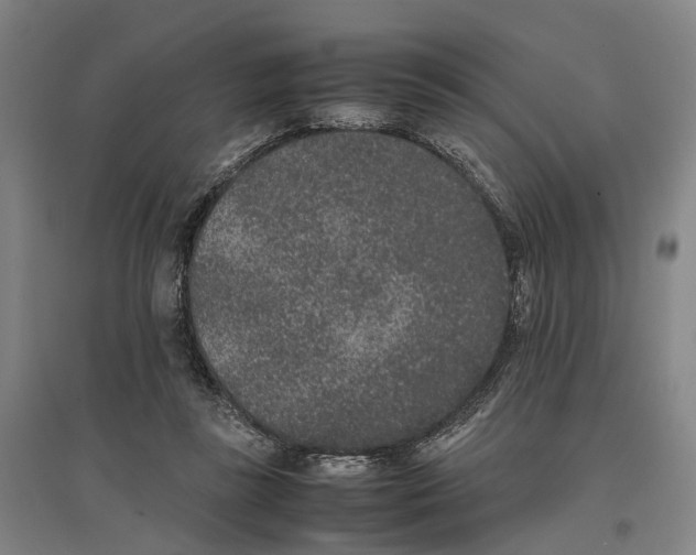 X0000096650355200803041154