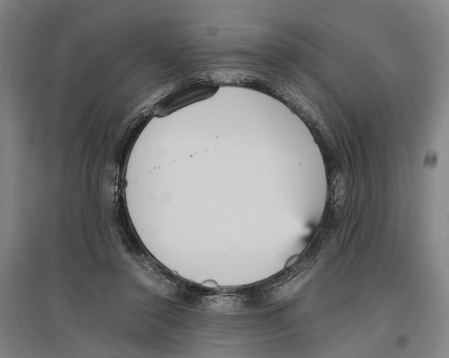 X0000096650356200803041154