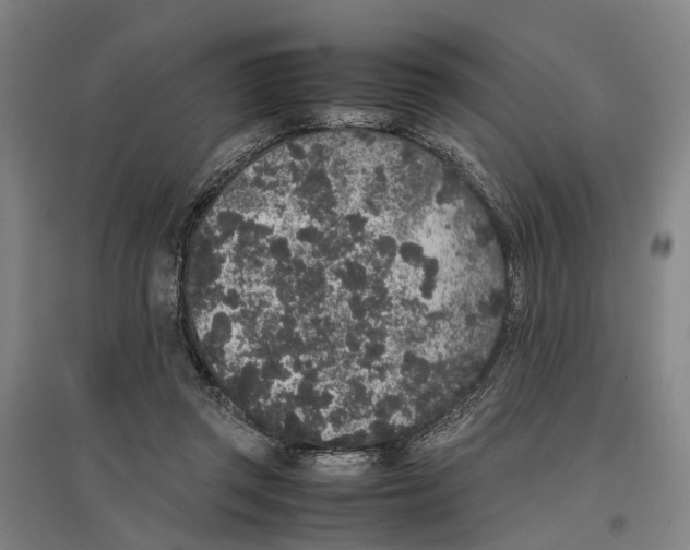 X0000096650357200803041154