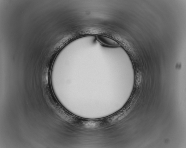 X0000096650358200803041154