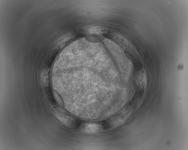 X0000096650360200803041154