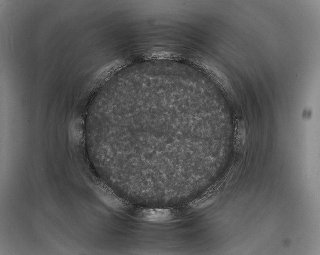 X0000096650361200803041154