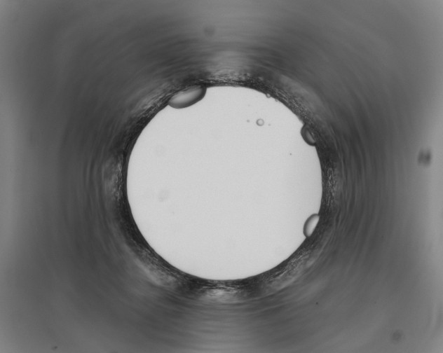 X0000096650364200803041154