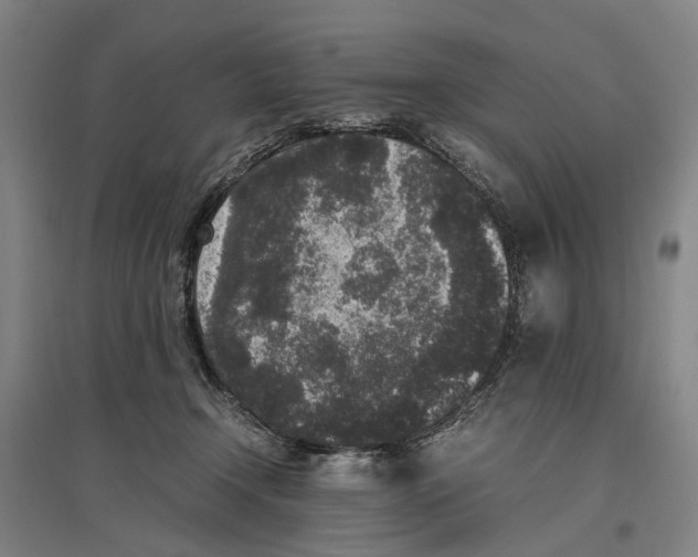 X0000096650366200803041154