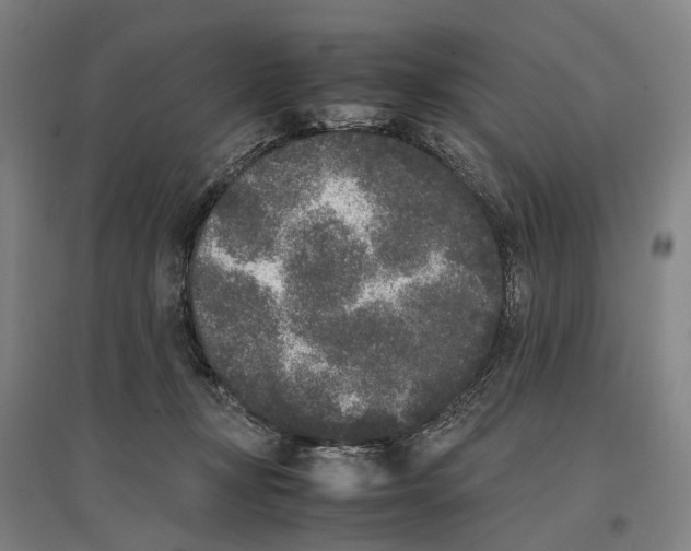 X0000096650367200803041154