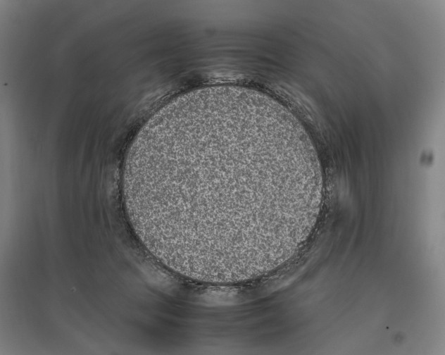 X0000096650369200803041154