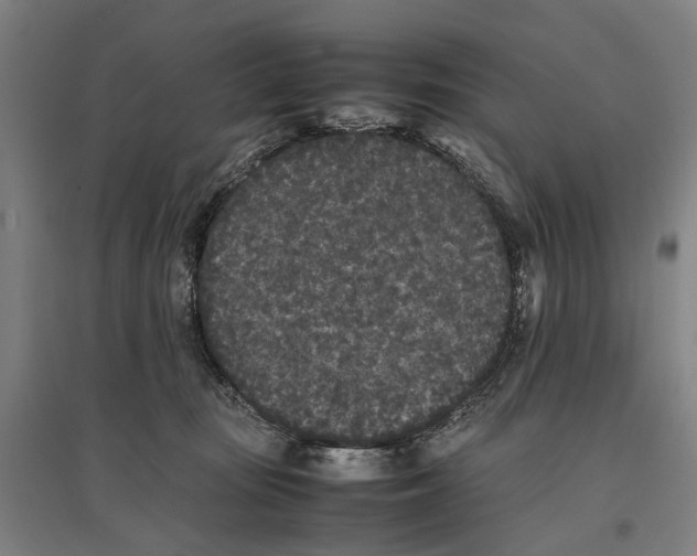 X0000096650371200803041154